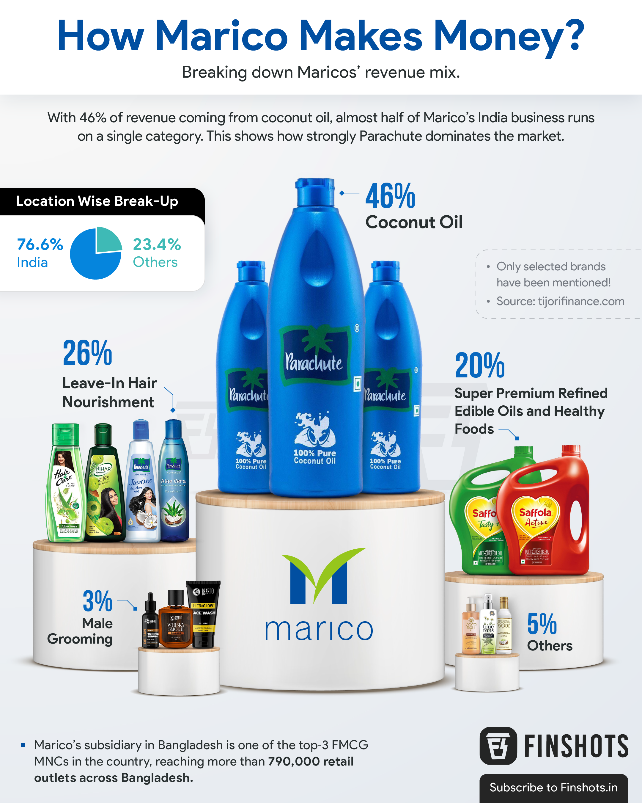 How Marico Makes Money?